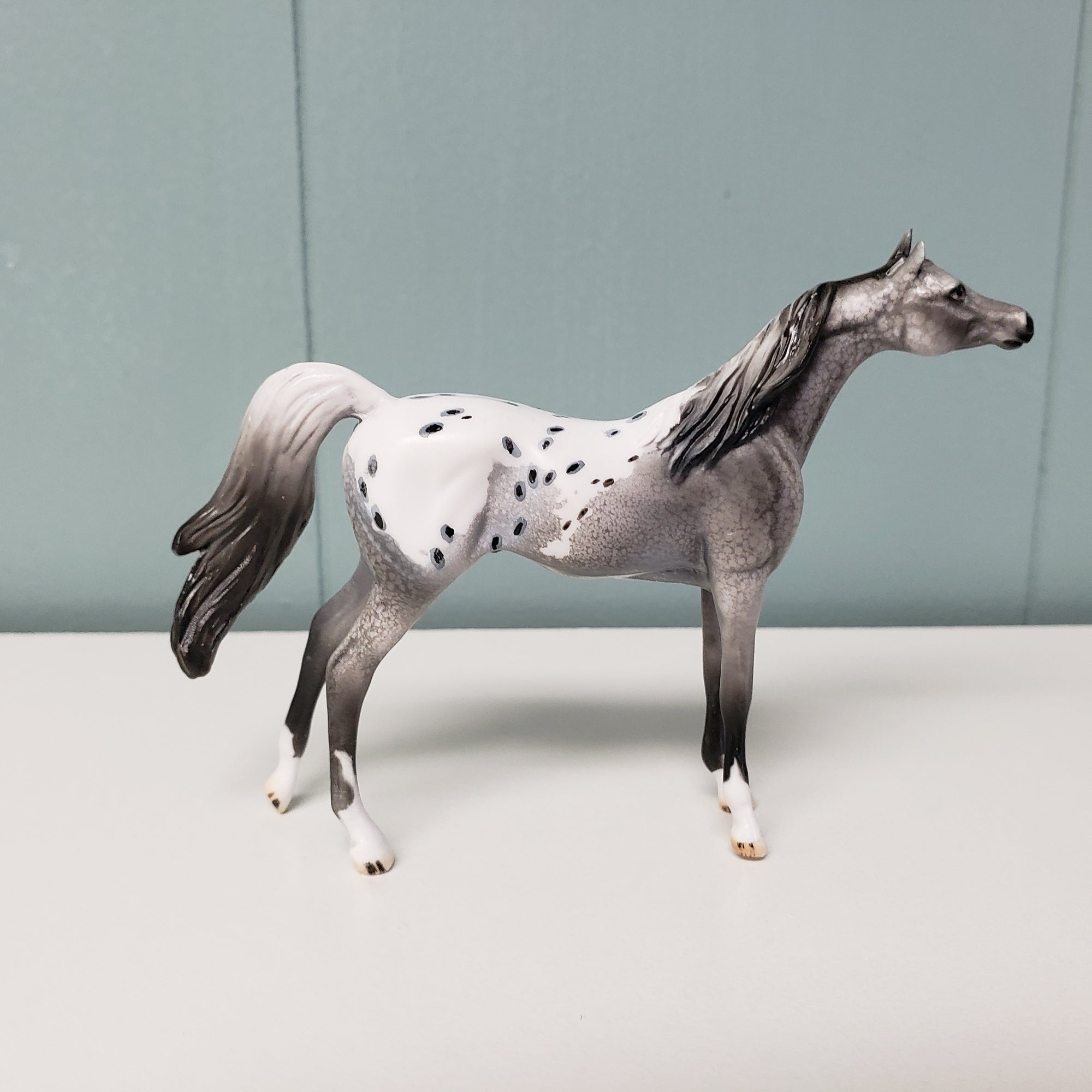 Marriott OOAK Appaloosa Arabian Chip by Dawn Quick  - SHCF24