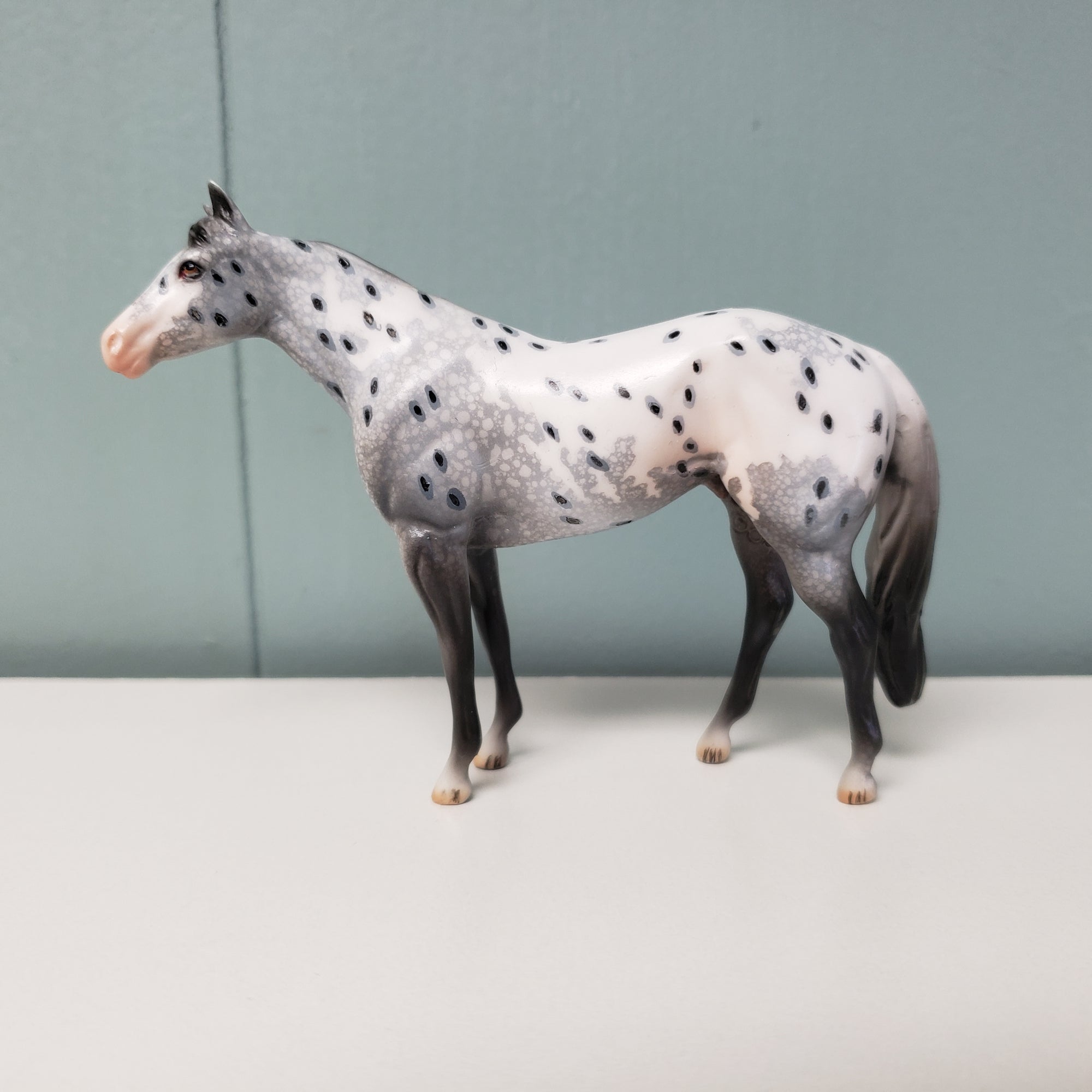 Rumple OOAK Appaloosa Stock Chip by Dawn Quick  - SHCF24