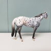 Rumple OOAK Appaloosa Stock Chip by Dawn Quick  - SHCF24