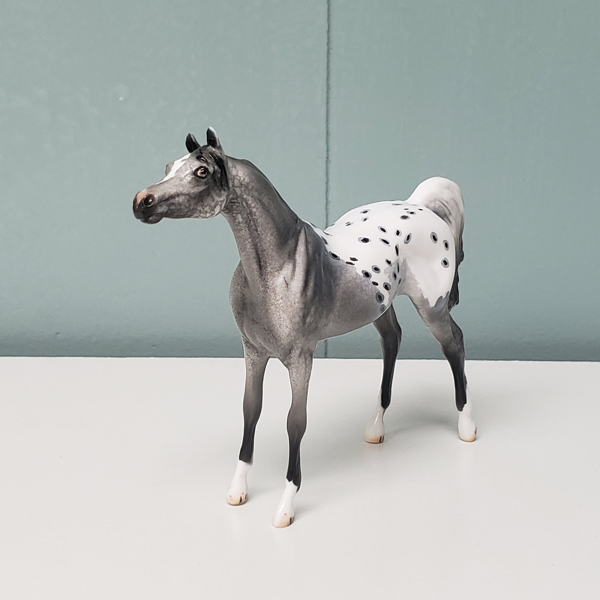 Marriott OOAK Appaloosa Arabian Chip by Dawn Quick  - SHCF24