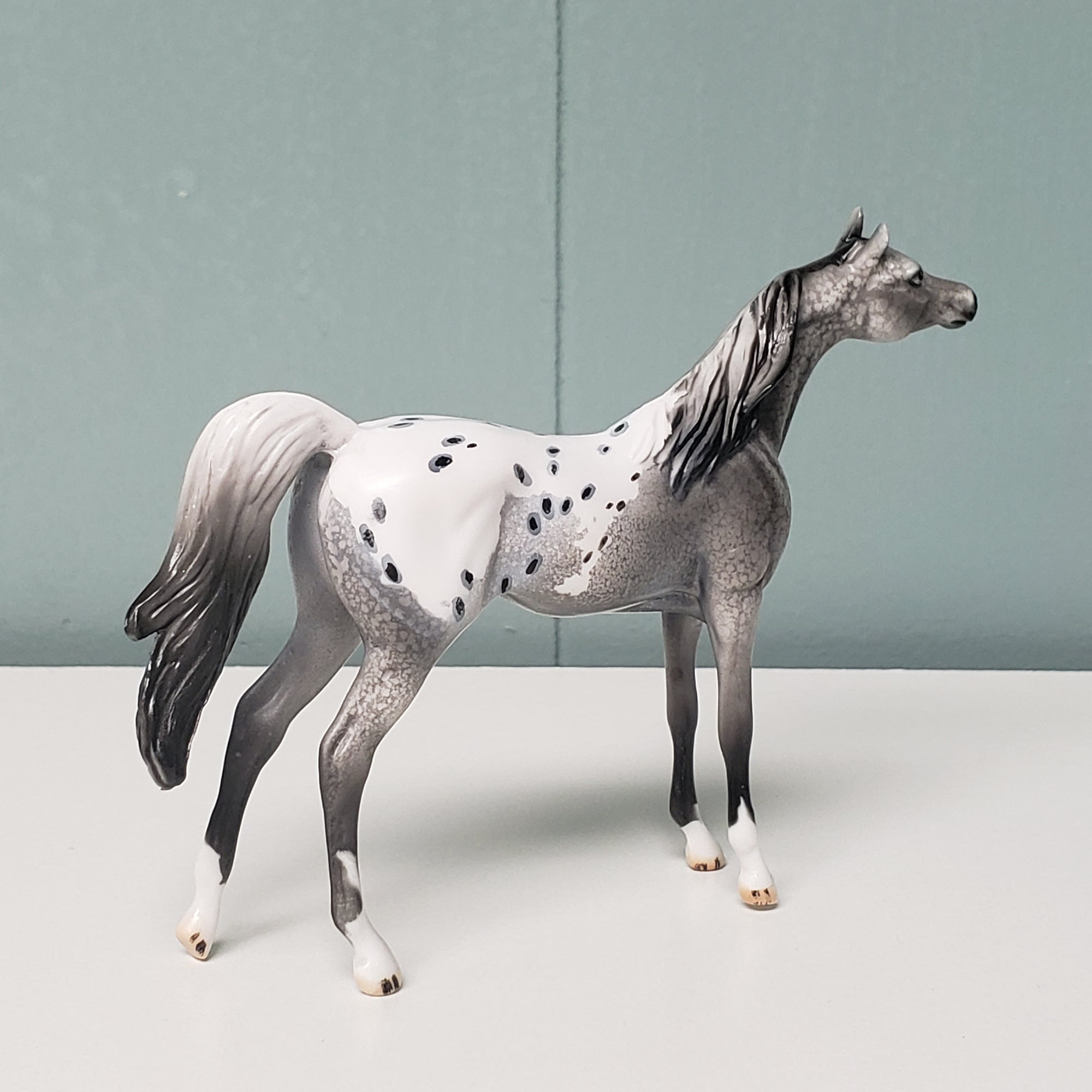 Marriott OOAK Appaloosa Arabian Chip by Dawn Quick  - SHCF24