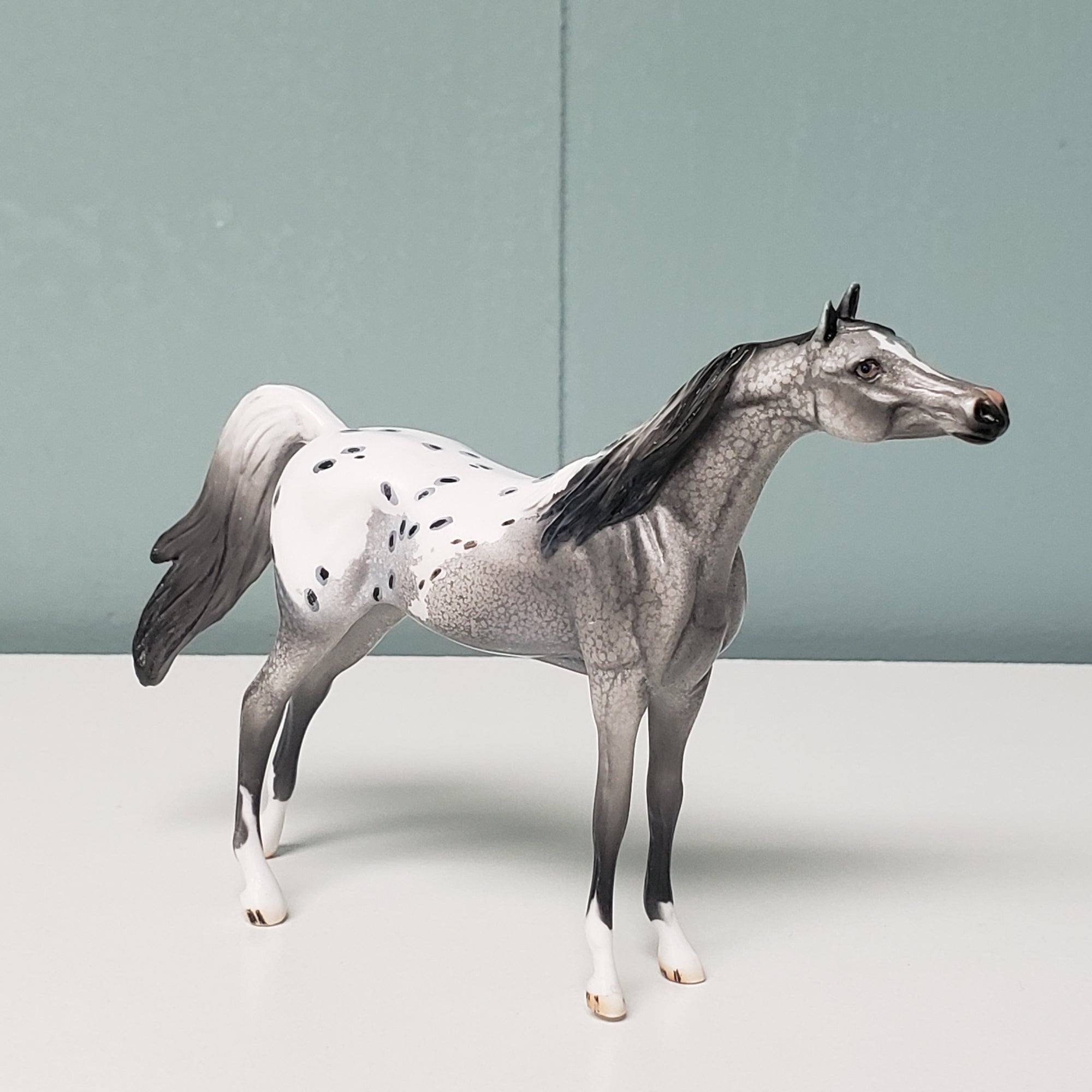 Marriott OOAK Appaloosa Arabian Chip by Dawn Quick  - SHCF24