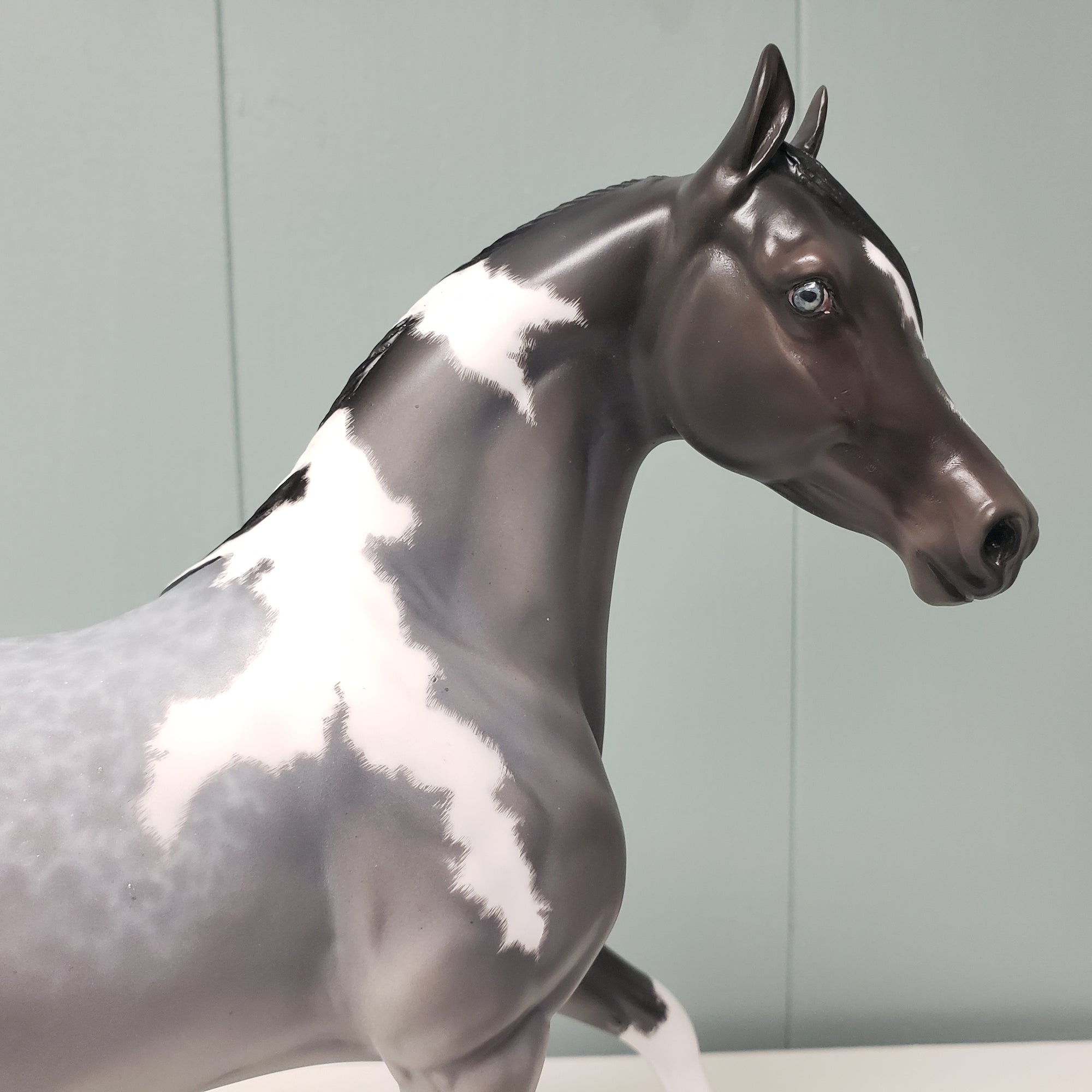 Radar Detected OOAK Loud Blue Roan Tobiano Custom Arab Mare By Ellen Robbins - Best Offers 3/26/24