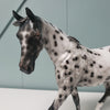 Spunky OOAK Black Appaloosa Custom Pony by Sheryl Leisure - Best Offers 3/26/24