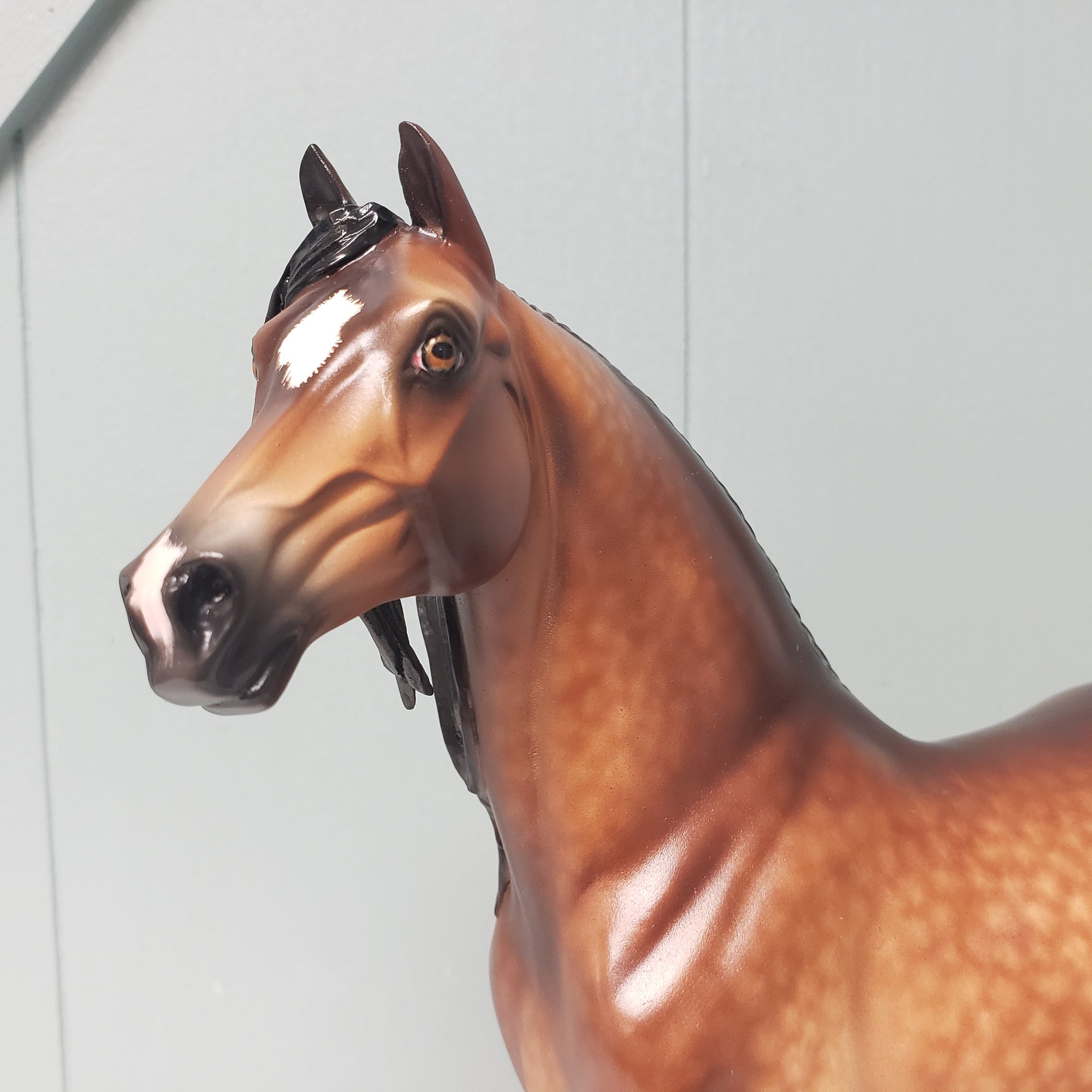 Zest OOAK Dappled Bay Custom Morgan by Sheryl Leisure - Best Offers 4/16/24