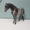 Revival OOAK Black Appaloosa Custom Mustang By Julie Keim Best Offers 3/26/24