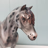 Revival OOAK Black Appaloosa Custom Mustang By Julie Keim Best Offers 3/26/24