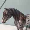 Revival OOAK Black Appaloosa Custom Mustang By Julie Keim Best Offers 3/26/24