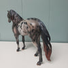 Revival OOAK Black Appaloosa Custom Mustang By Julie Keim Best Offers 3/26/24