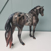 Revival OOAK Black Appaloosa Custom Mustang By Julie Keim Best Offers 3/26/24