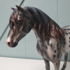 Revival OOAK Black Appaloosa Custom Mustang By Julie Keim Best Offers 3/26/24