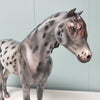 Revival OOAK Black Appaloosa Custom Mustang By Julie Keim Best Offers 3/26/24