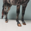 Revival OOAK Black Appaloosa Custom Mustang By Julie Keim Best Offers 3/26/24