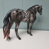 Revival OOAK Black Appaloosa Custom Mustang By Julie Keim Best Offers 3/26/24