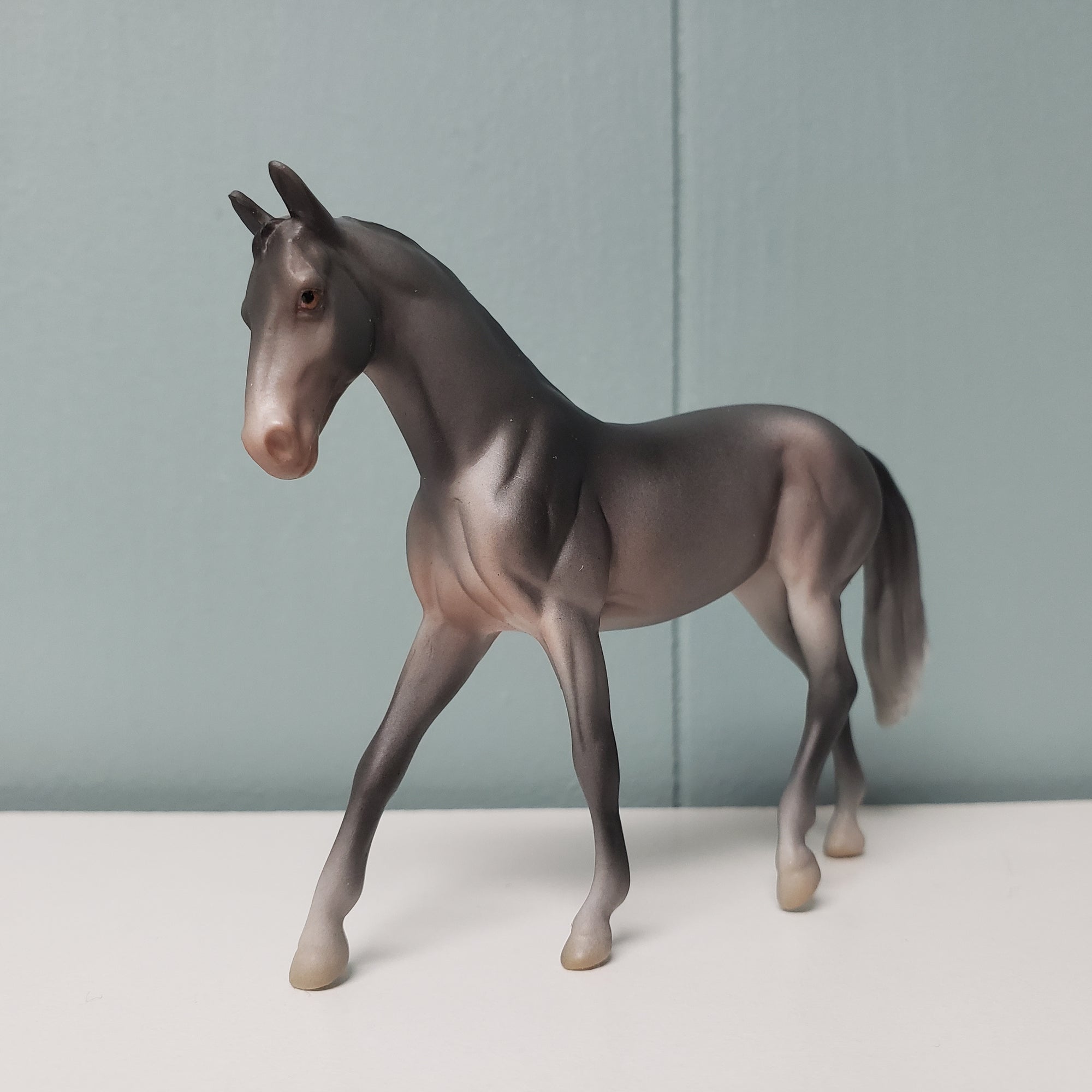 Nightfall LE-6 Grey Warmblood Chip By Jess Hamill