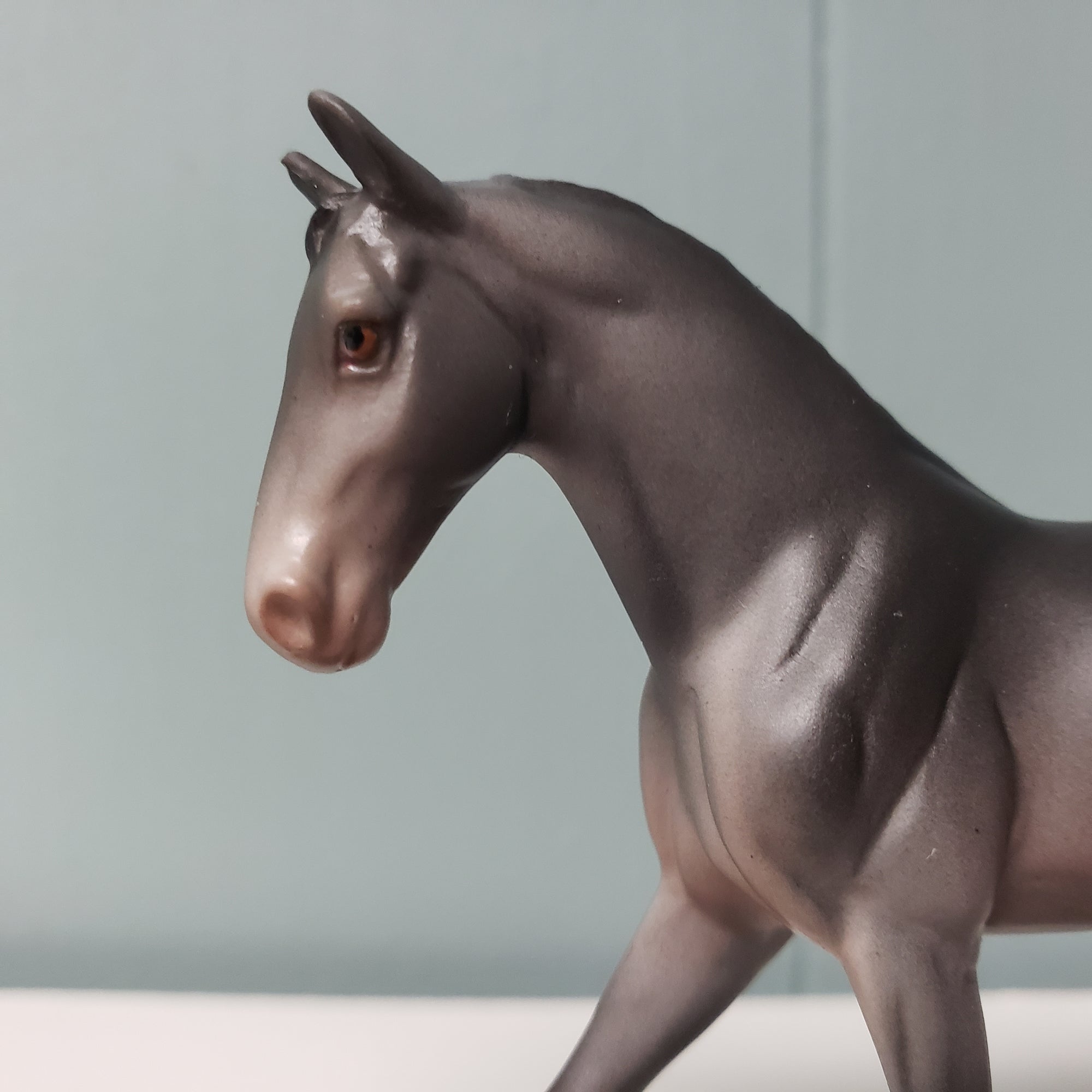 Nightfall LE-6 Grey Warmblood Chip By Jess Hamill