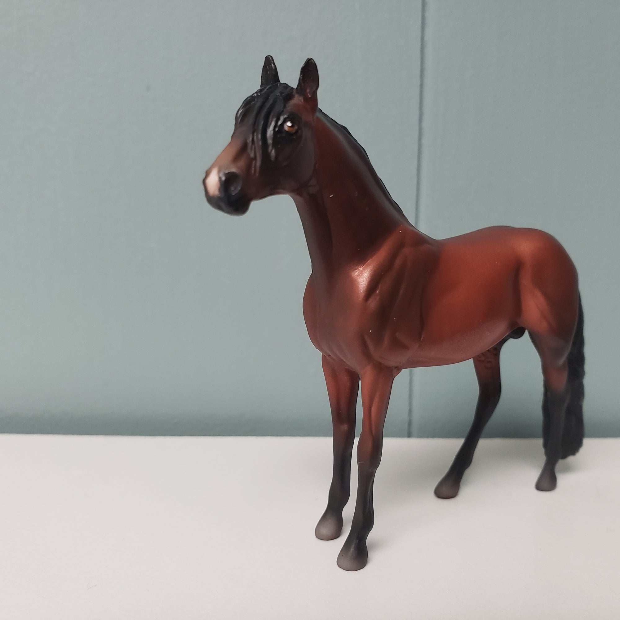 Dusk LE-6 Bay Andalusian Chip By Jess Hamill