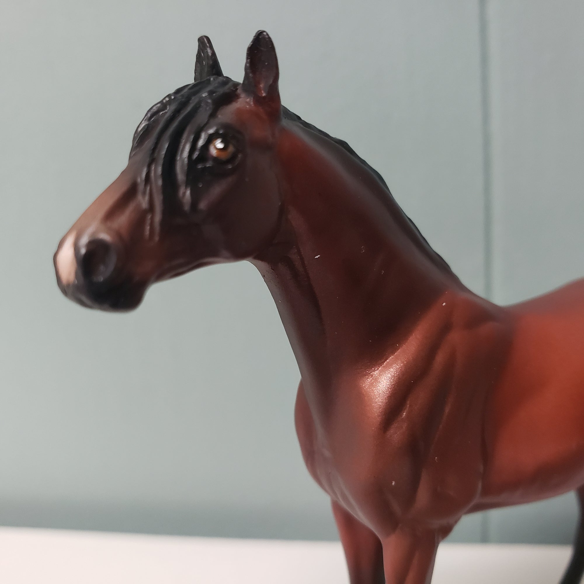 Dusk LE-6 Bay Andalusian Chip By Jess Hamill