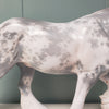 Maus OOAK Grey Sabino Custom Irish Cob By Jess Hamill Best Offers 4/2/24