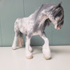 Maus OOAK Grey Sabino Custom Irish Cob By Jess Hamill Best Offers 4/2/24