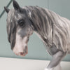 Maus OOAK Grey Sabino Custom Irish Cob By Jess Hamill Best Offers 4/2/24