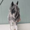 Maus OOAK Grey Sabino Custom Irish Cob By Jess Hamill Best Offers 4/2/24