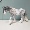 Maus OOAK Grey Sabino Custom Irish Cob By Jess Hamill Best Offers 4/2/24