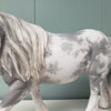 Maus OOAK Grey Sabino Custom Irish Cob By Jess Hamill Best Offers 4/2/24