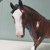 Jameson OOAK Dappled Bay Custom Irish Cob by Sheryl Leisure - Best Offers 4/2/24