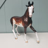 Vivacious OOAK Bay Sabino Custom Arab Mare By Sheryl Leisure Best Offers 5/14/24