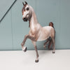 Zinger OOAK Dappled Grey Custom Saddlebred by Sheryl Leisure - Best Offers 4/2/24