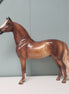 Chipper OOAK Dappled Chestnut Custom Morgan Sheryl Leisure Former Best Offers SHCF24