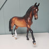 Dr. Oppenheimer OOAK Dappled Bay Performance Horse By Ellen Robbins