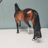 Dr. Oppenheimer OOAK Dappled Bay Performance Horse By Ellen Robbins