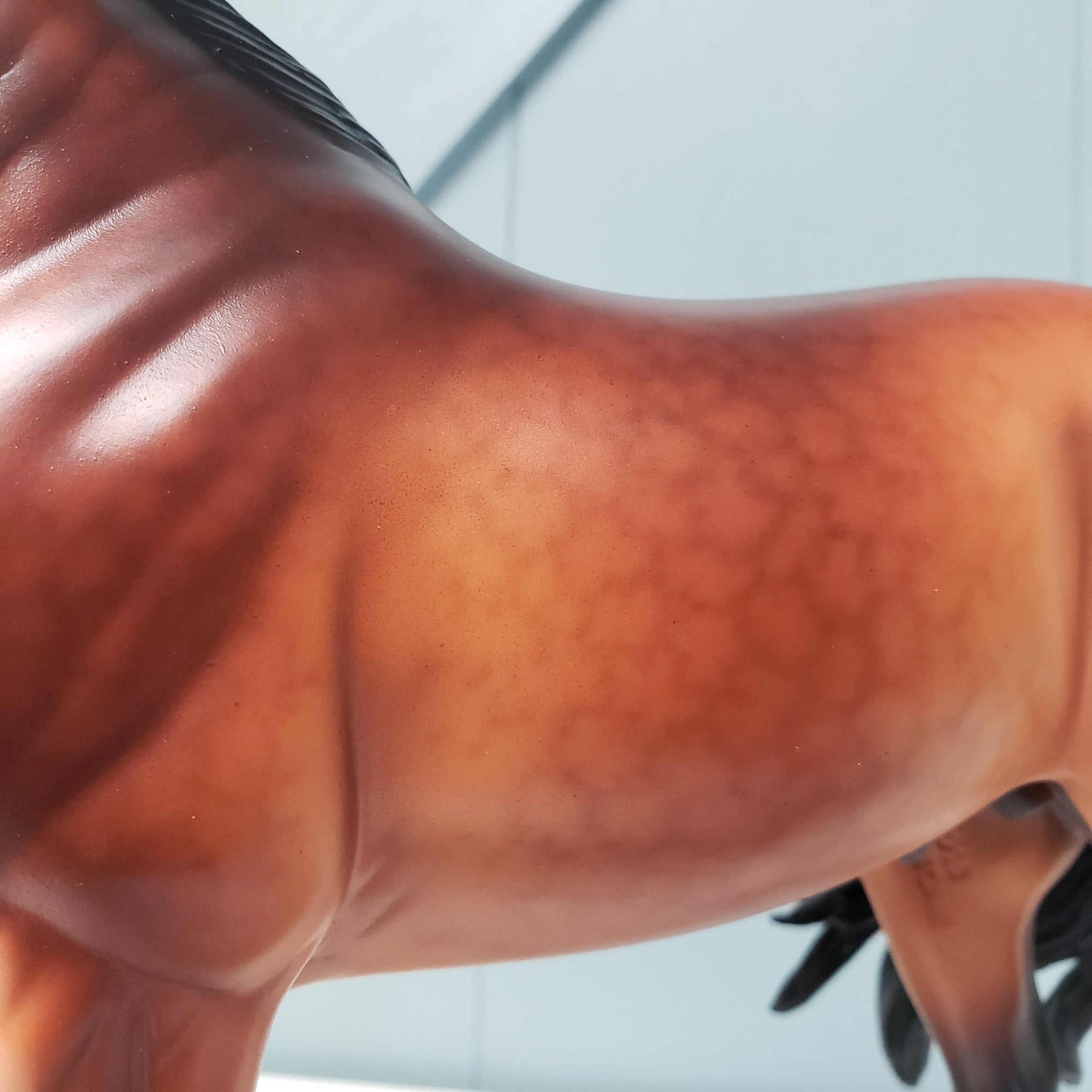 Trinity OOAK Dappled Sooty Bay Andalusian by Ellen Robbins Best Offers 4/2/24