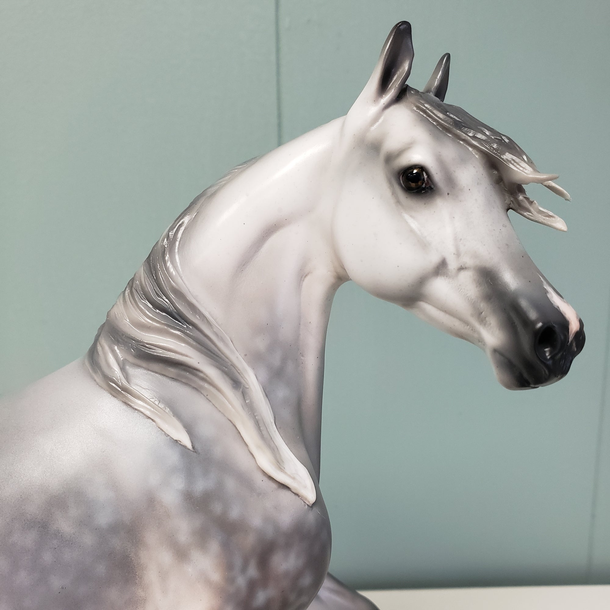Kida OOAK Star Dappled Grey Custom Arab Mare By Jess Hamill Best Offers 4/2/24
