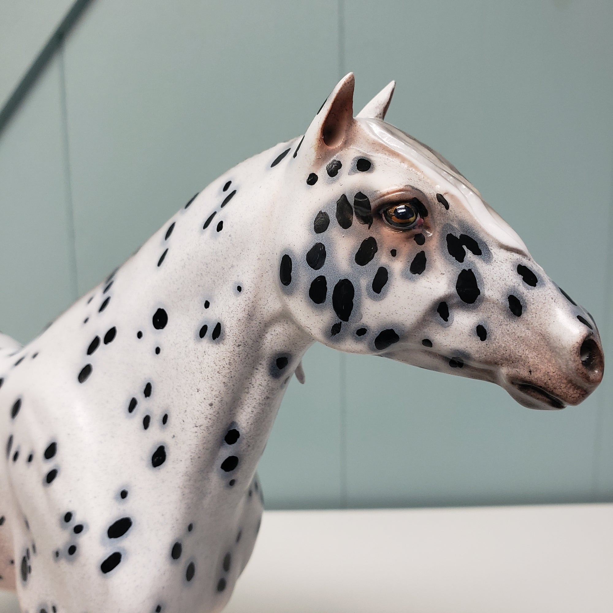 Halcyon OOAK Appaloosa Custom Mustang By Dawn Quick - Best Offers 4/9/24