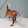 Last Dance OOAK Silver Bay Custom Arab Mare by Sheryl Leisure - Best Offers 4/9/24