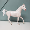 Subtle Beauty OOAK Dappled Cremello Custom Arab Mare By Ashley Palmer - Best Offers 4/16/24