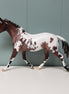 Bavaroise OOAK Bay Appaloosa Custom Palouse By Jess Hamill - Best Offers 4/16/24