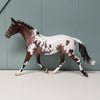 Bavaroise OOAK Bay Appaloosa Custom Palouse By Jess Hamill - Best Offers 4/16/24