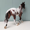 Bavaroise OOAK Bay Appaloosa Custom Palouse By Jess Hamill - Best Offers 4/16/24