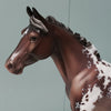 Bavaroise OOAK Bay Appaloosa Custom Palouse By Jess Hamill - Best Offers 4/16/24