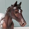 Bavaroise OOAK Bay Appaloosa Custom Palouse By Jess Hamill - Best Offers 4/16/24