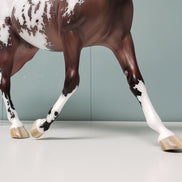 Bavaroise OOAK Bay Appaloosa Custom Palouse By Jess Hamill - Best Offers 4/16/24