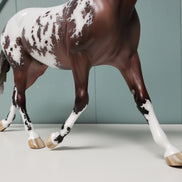 Bavaroise OOAK Bay Appaloosa Custom Palouse By Jess Hamill - Best Offers 4/16/24