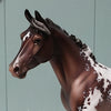 Bavaroise OOAK Bay Appaloosa Custom Palouse By Jess Hamill - Best Offers 4/16/24