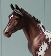 Bavaroise OOAK Bay Appaloosa Custom Palouse By Jess Hamill - Best Offers 4/16/24