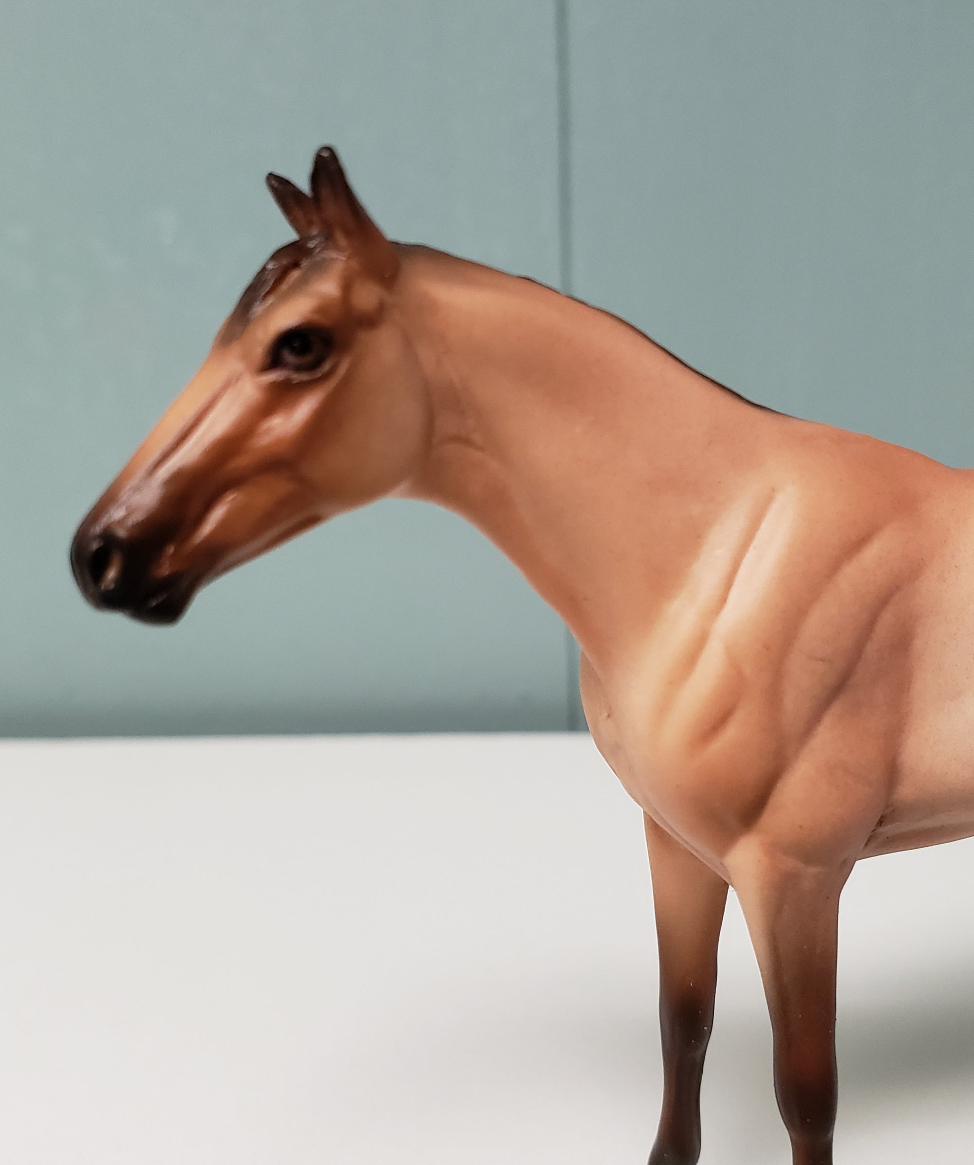 The Boy LE-4 Dappled Buckskin Thoroughbred Chip Velveteen Classic Literature Series By Jess Hamill  CL24