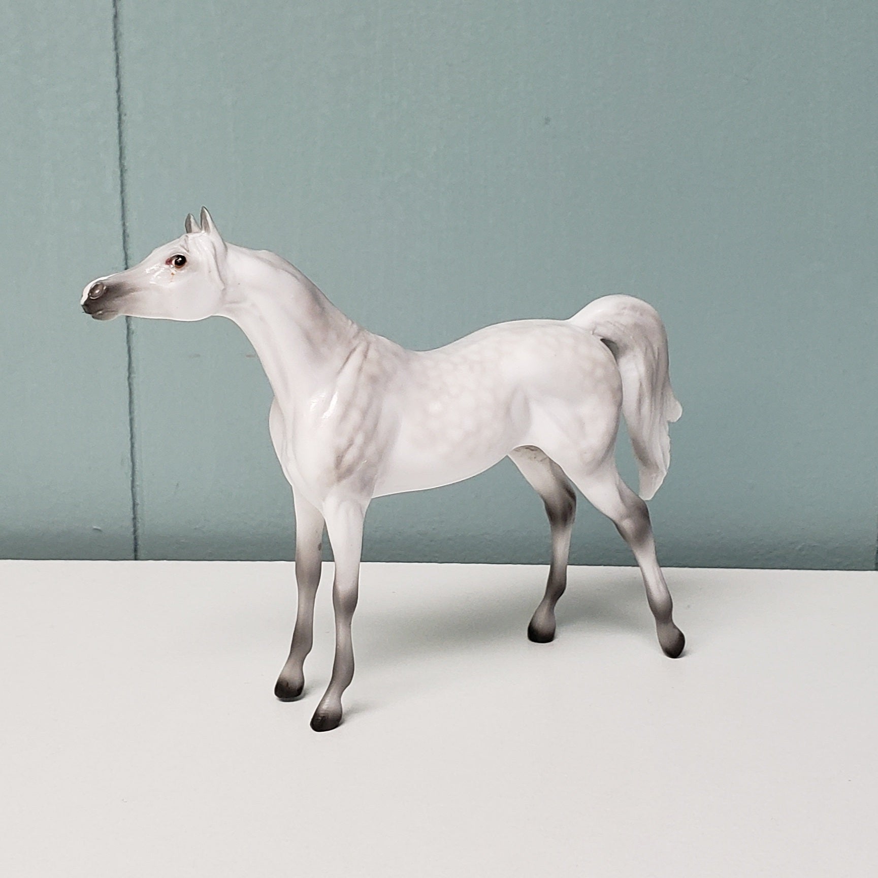 The Doctor LE-3 Dappled Grey Arabian Chip Velveteen Classic Literature Series By Jess Hamill  CL24